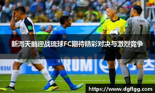 k1体育网页版